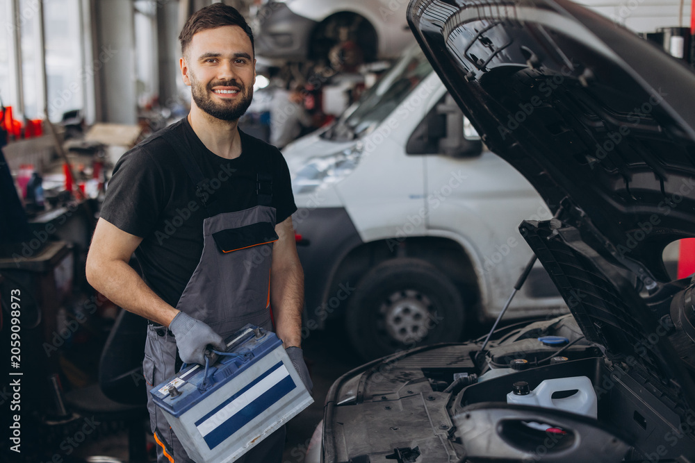 Professional Mechanics