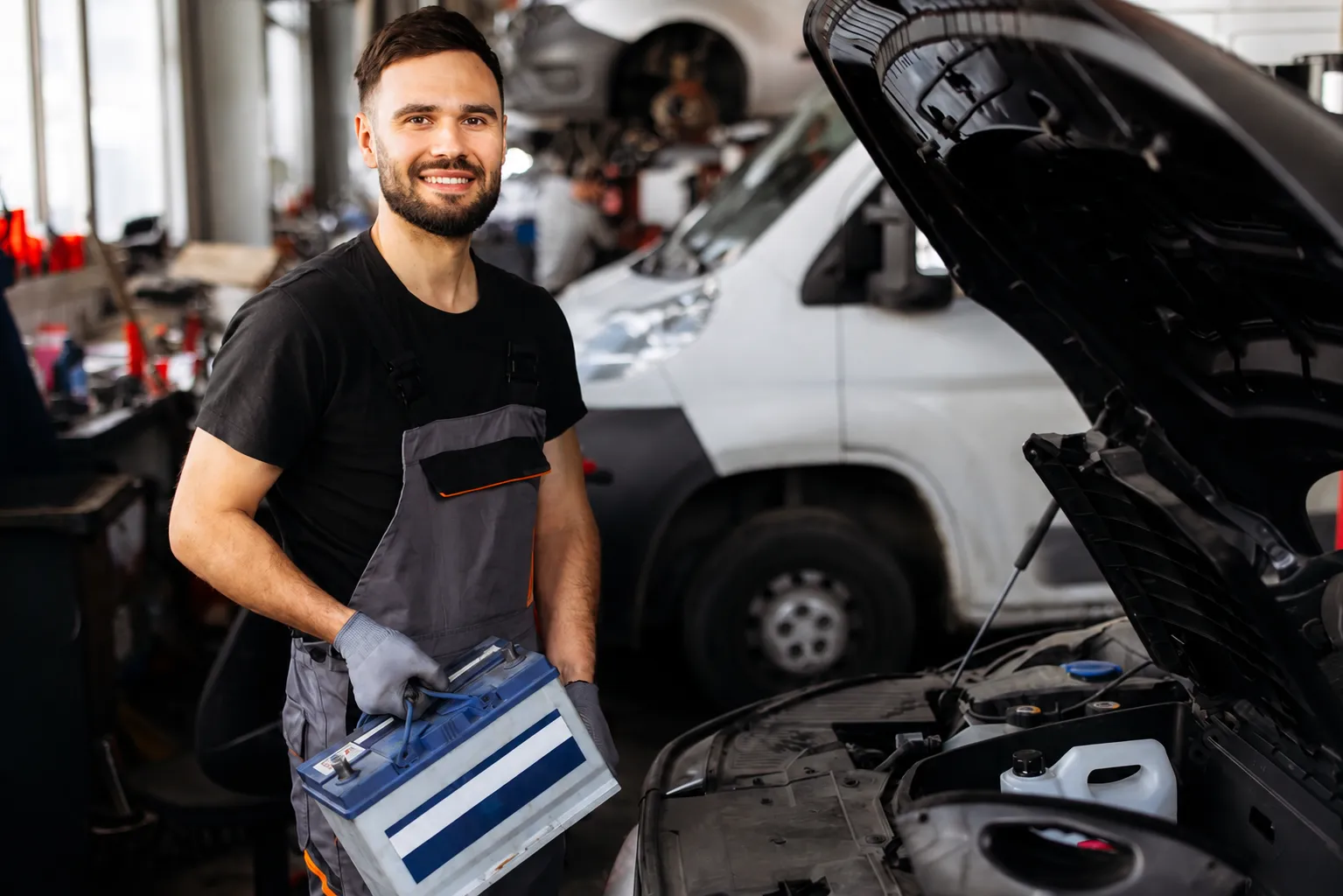 Professional Mechanics